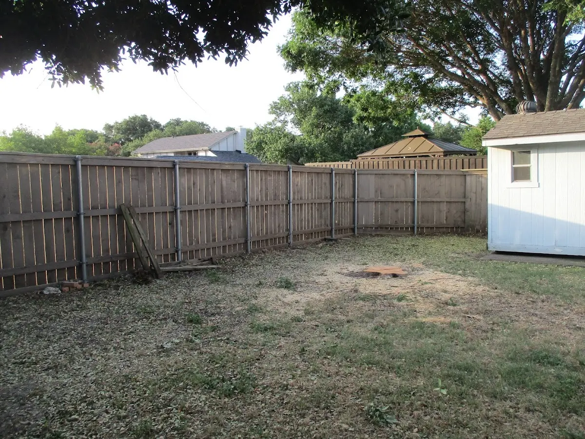 Cleared yard after professional tree removal in Newtown Square