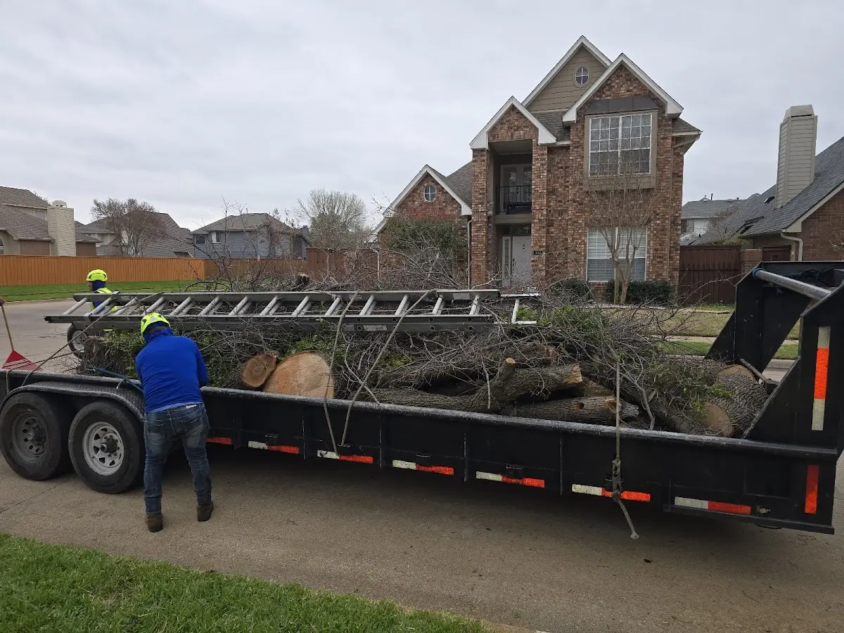 Expert Tree Fertilization with proper safety equipment in Newtown Square